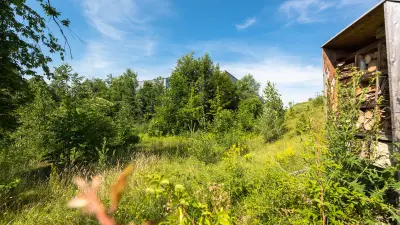 Geschäftsjahr 2021: Bosch baut Aktivitäten in der Schweiz aus